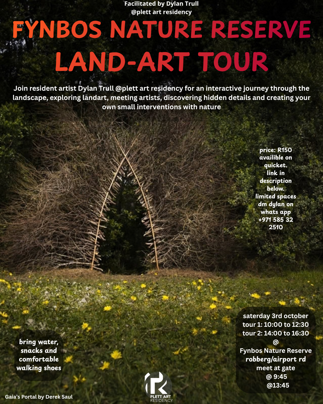 Fynbos Nature  Reserve landart Tour